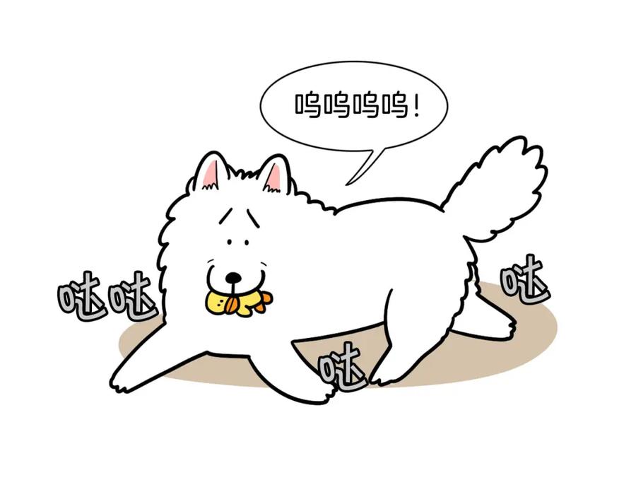 第68页