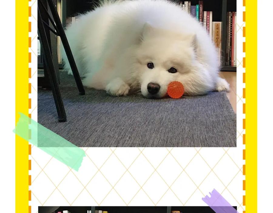 第89页