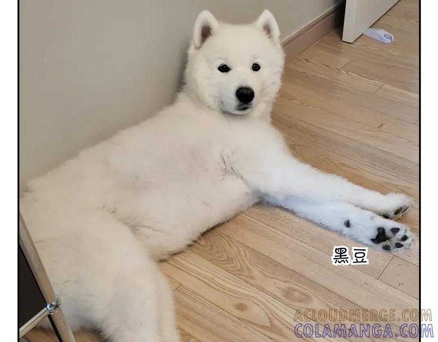 第52页