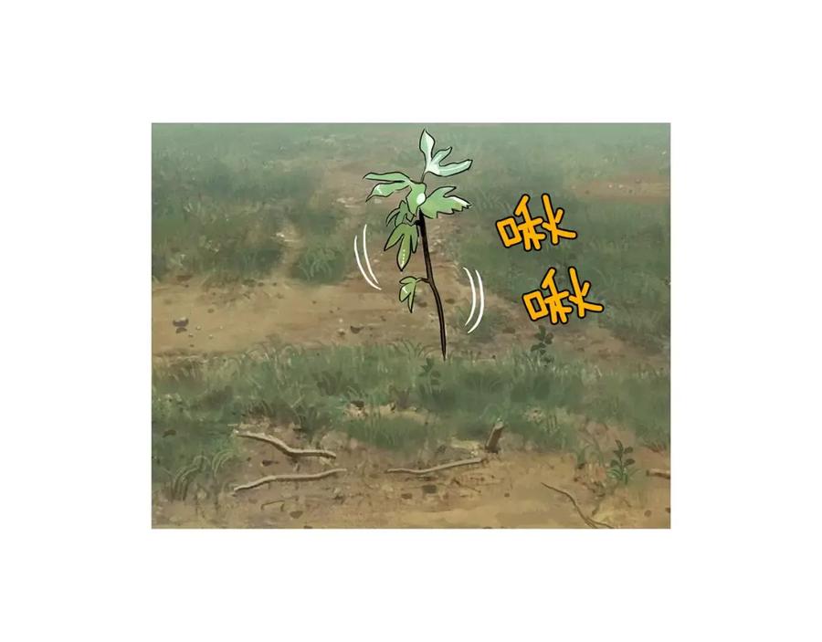 第75页
