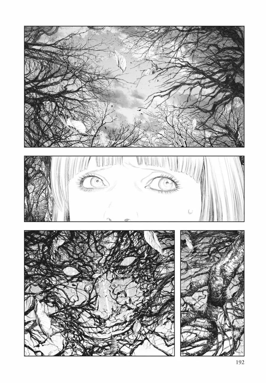 第194页