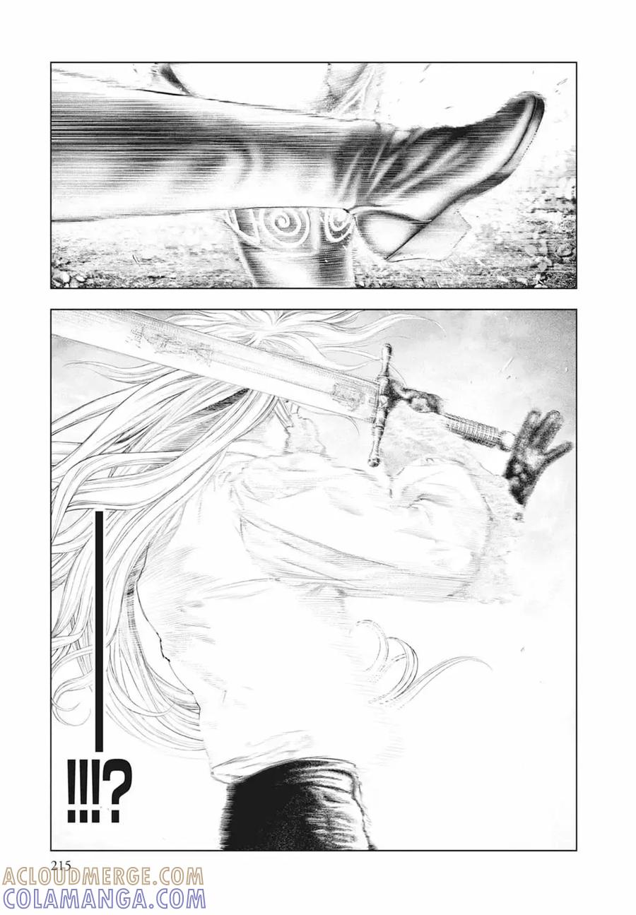 第217页