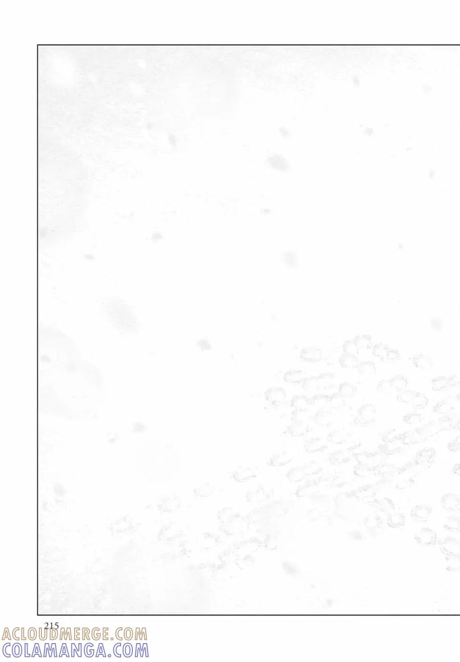 第217页