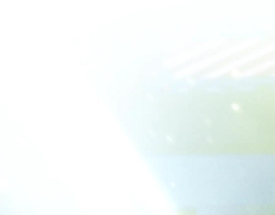 第202页