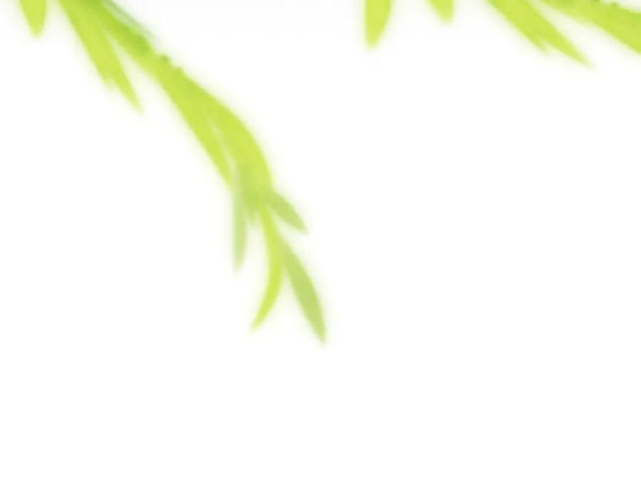 第212页