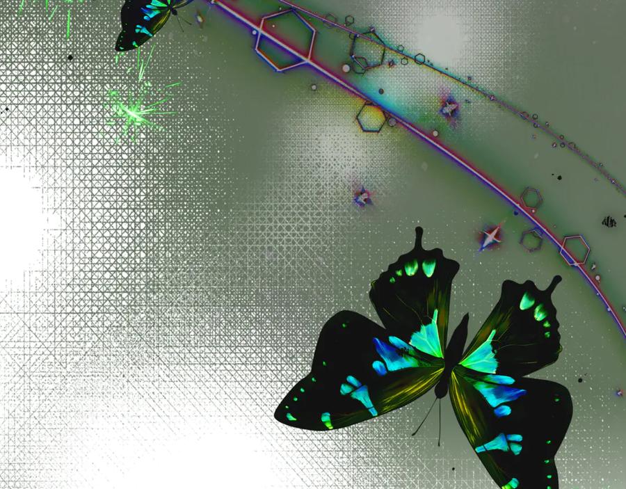 第194页