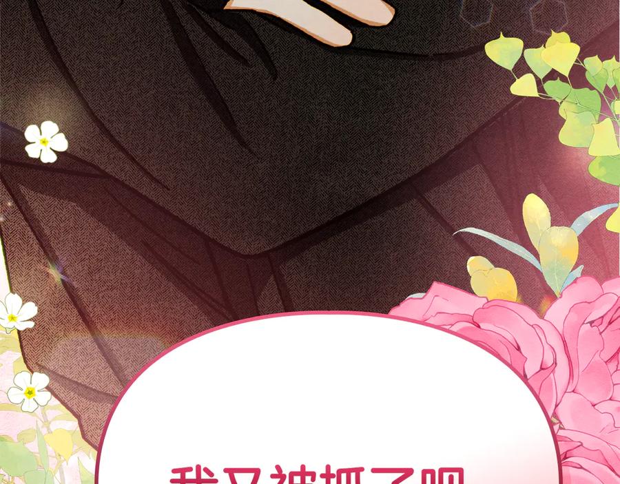 第250页