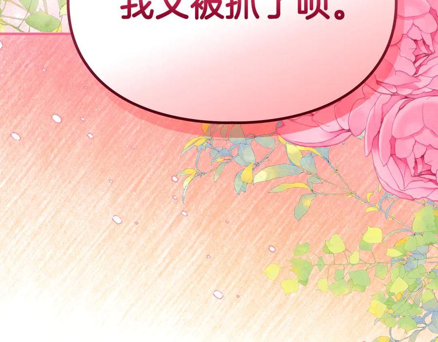 第251页