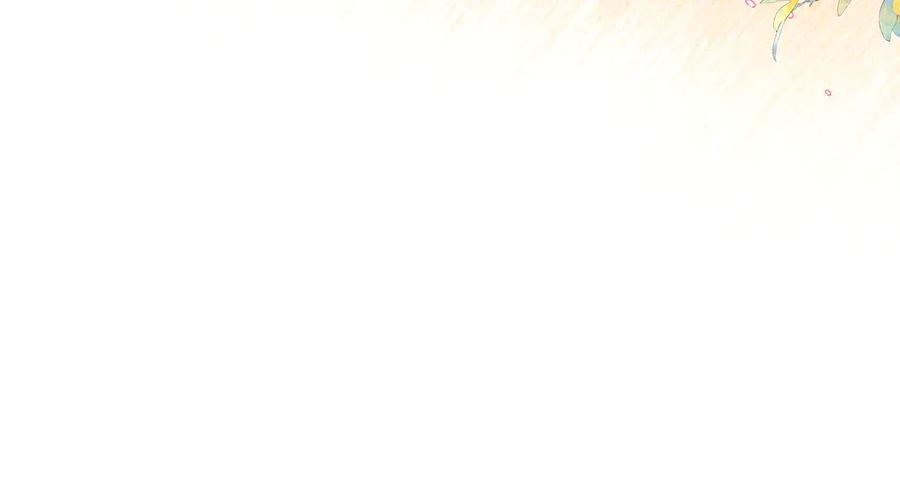 第252页