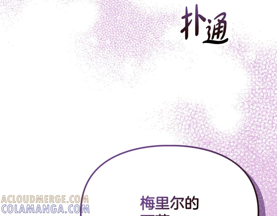 第221页