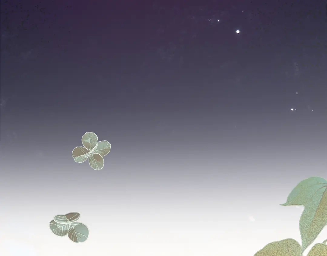 第184页