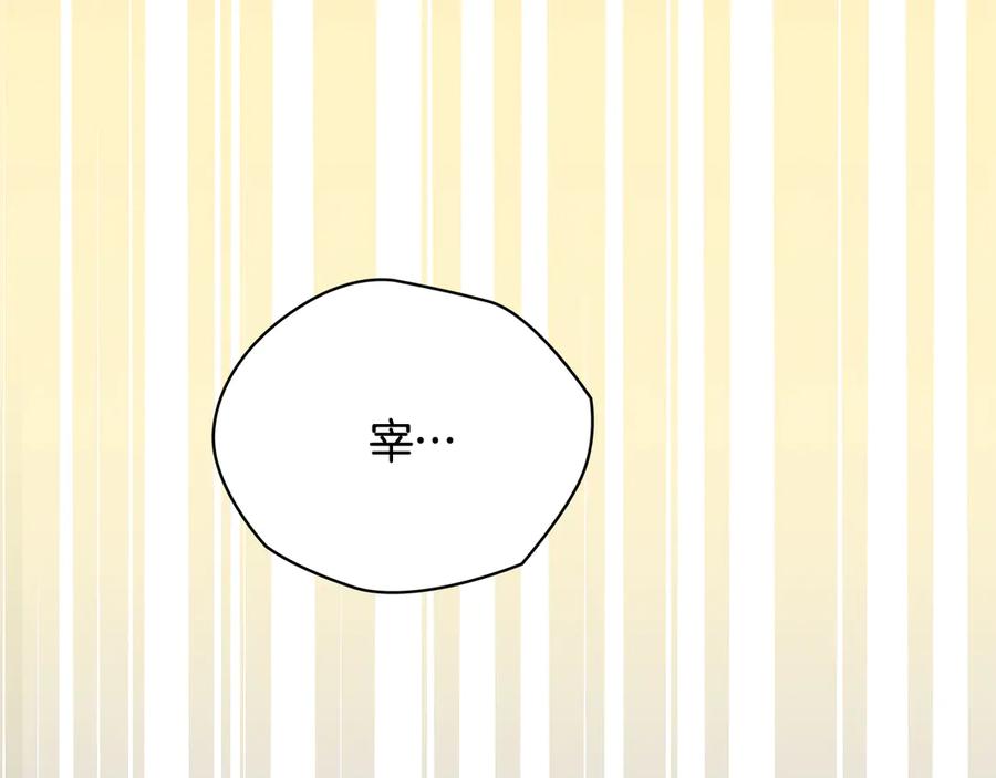 第223页