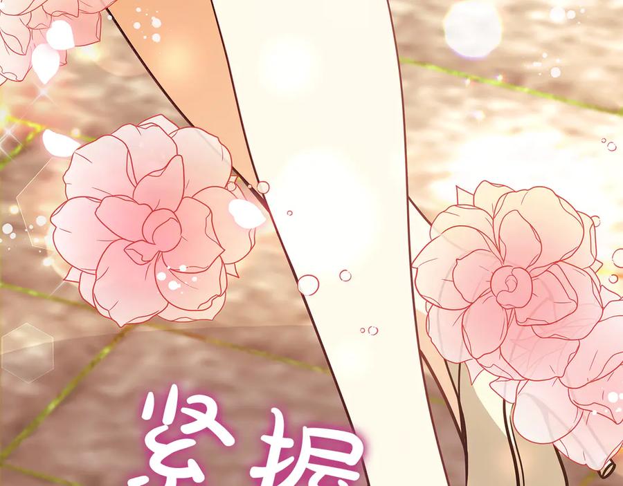 第262页