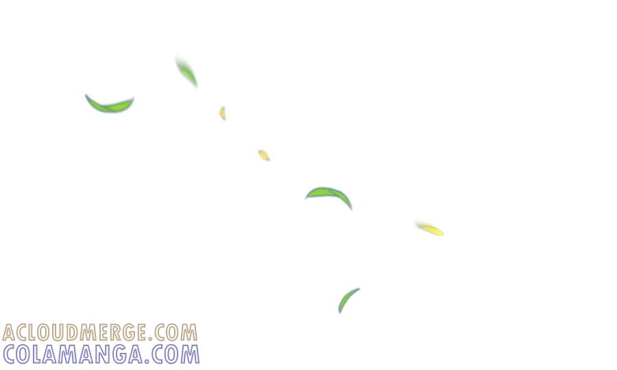 第177页