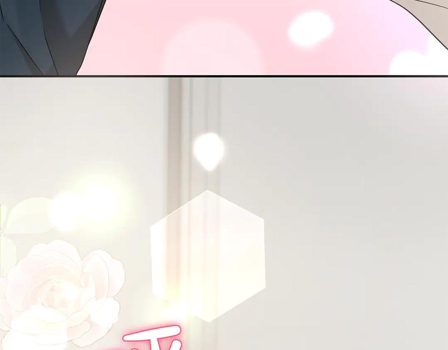 第223页