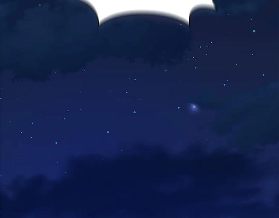 第215页
