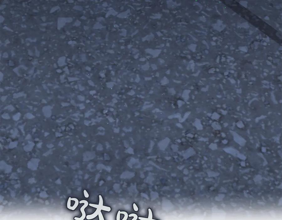 第203页