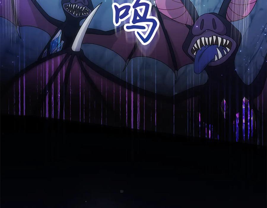 第204页