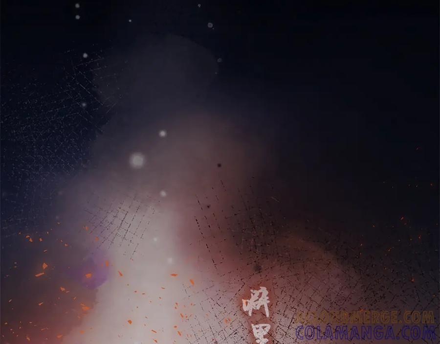 第205页