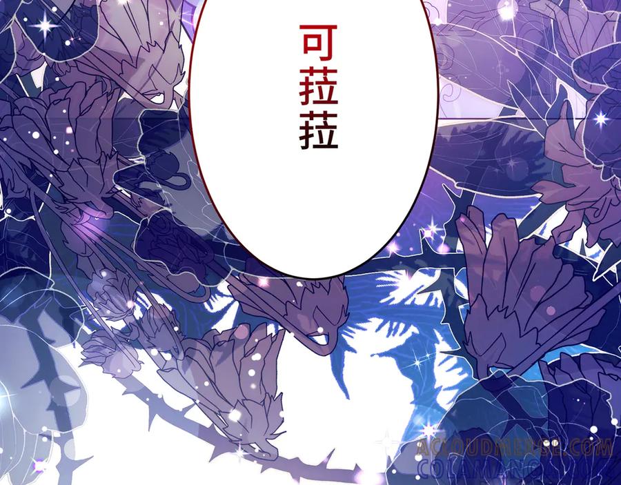 第205页