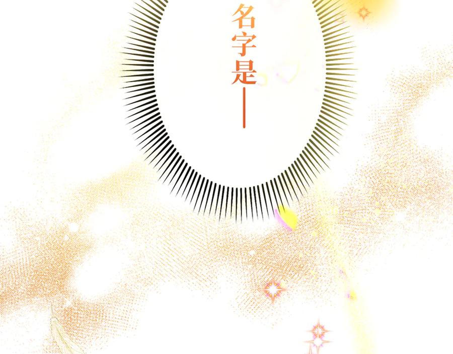 第242页