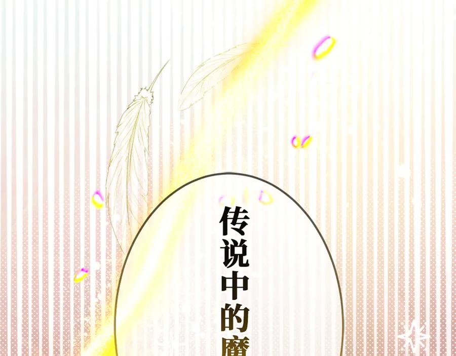 第244页