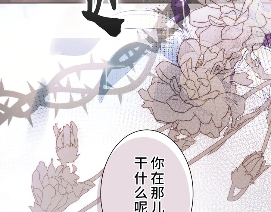 第206页