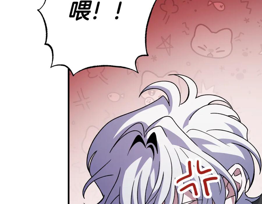 第242页