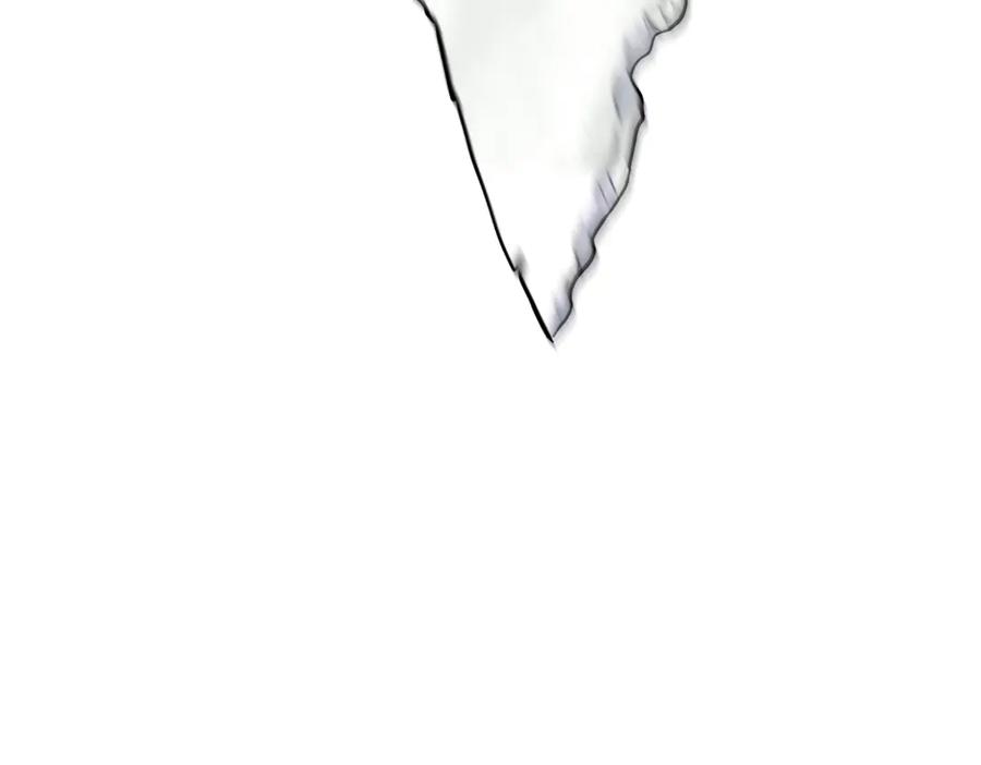 第220页