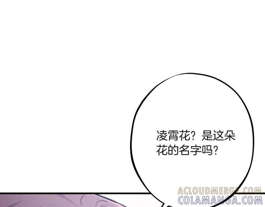 第305页