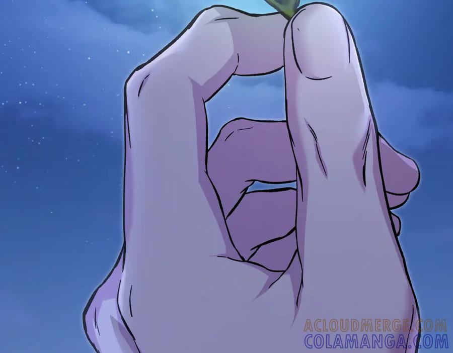 第333页