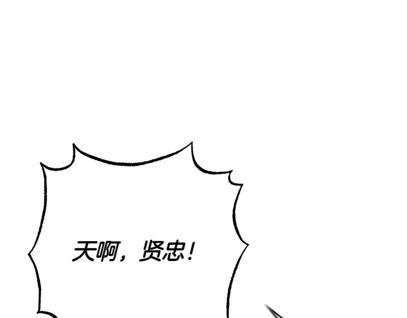 第234页