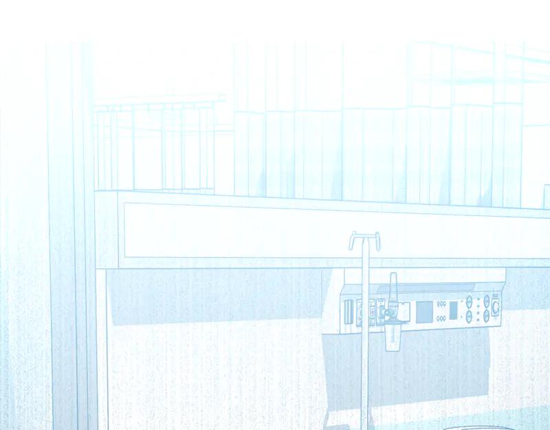 第238页