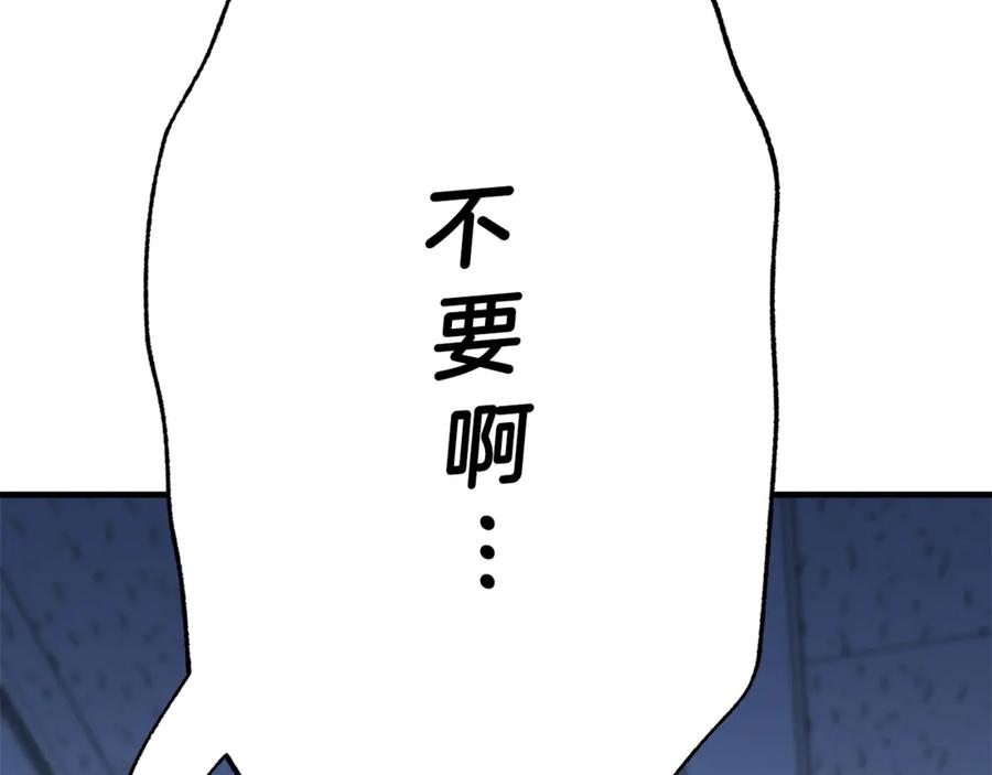 第206页