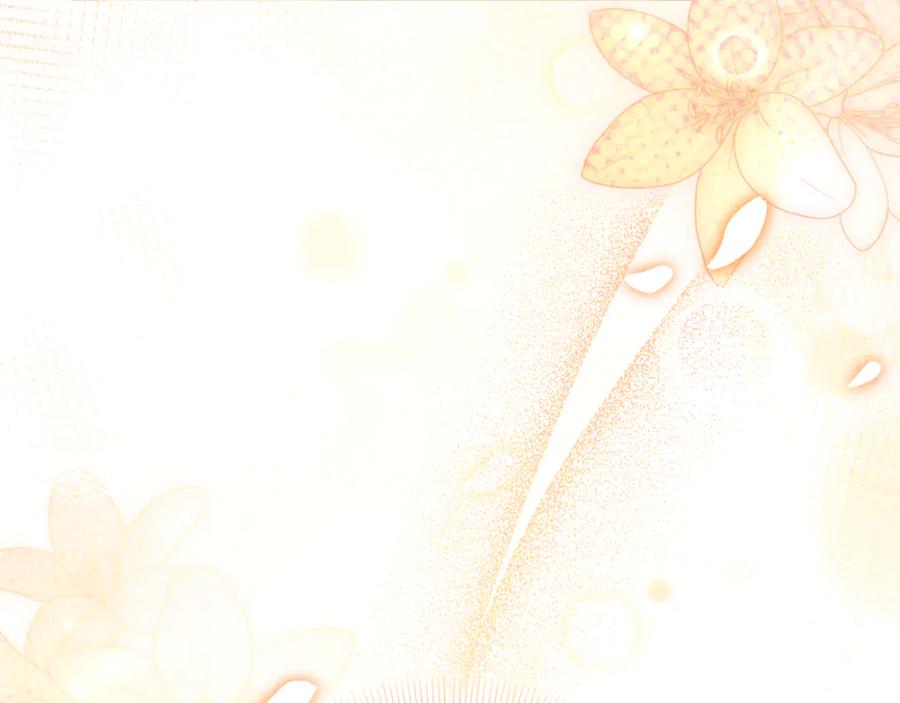 第247页