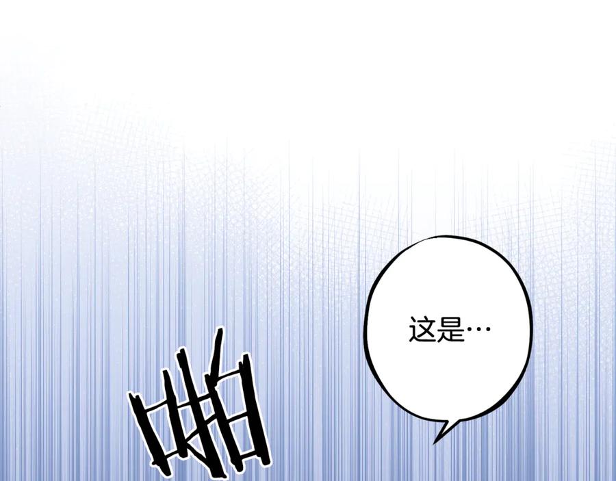 第259页