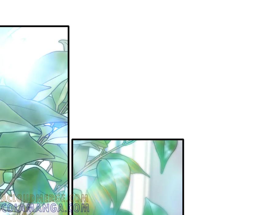 第233页