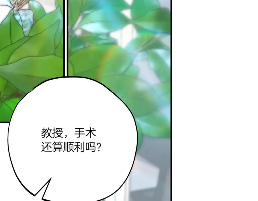 第234页