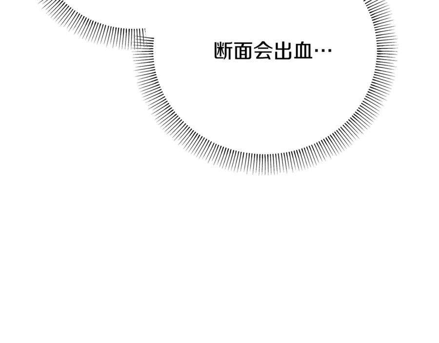 第231页