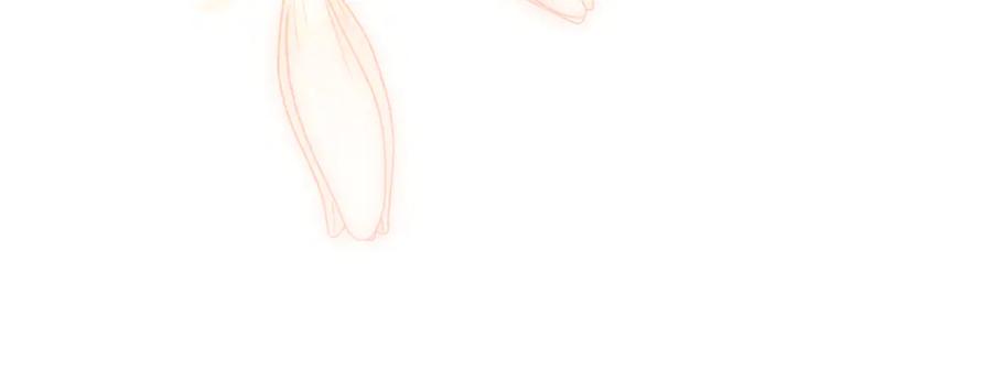 第270页