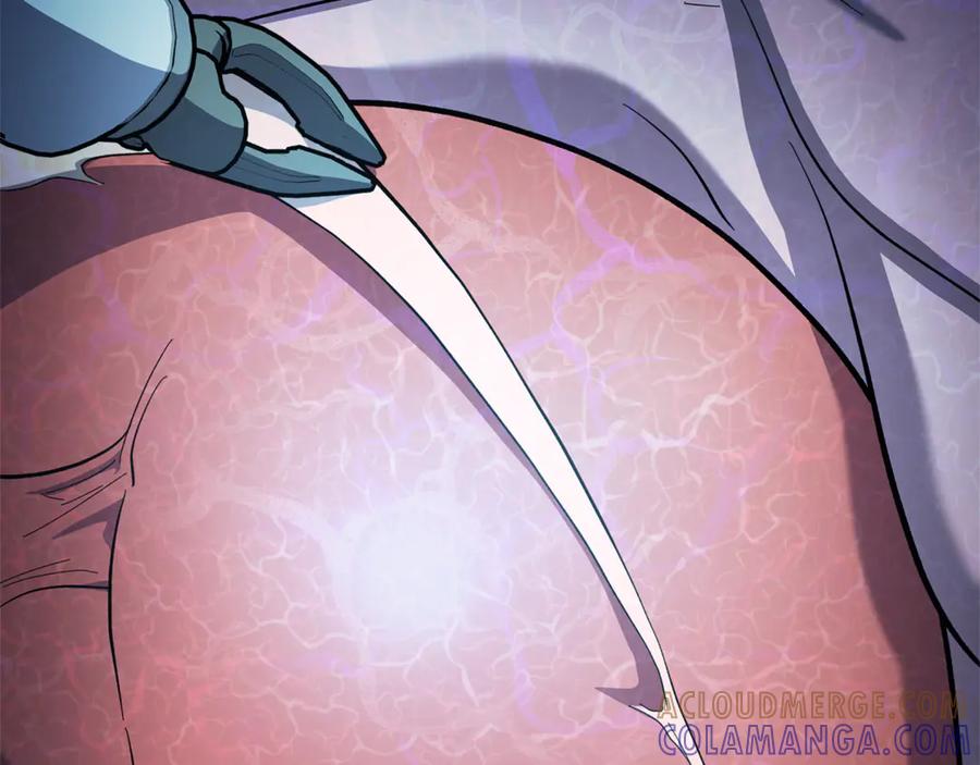 第233页