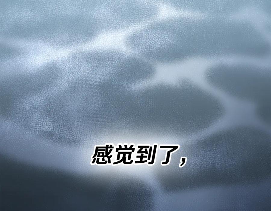 第258页