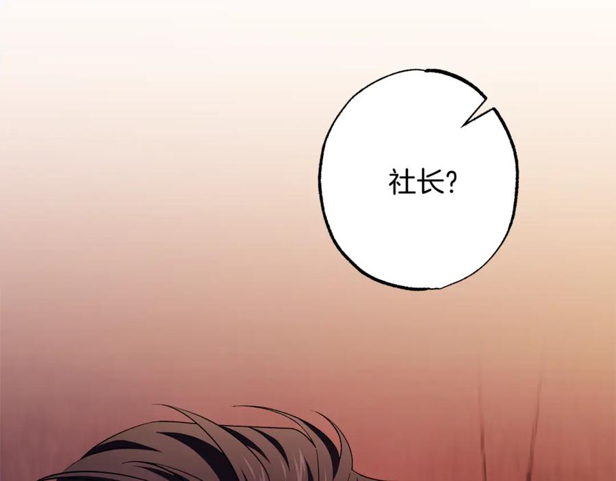 第250页