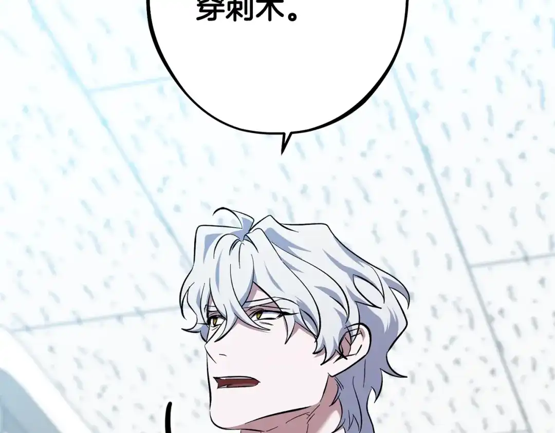 第243页