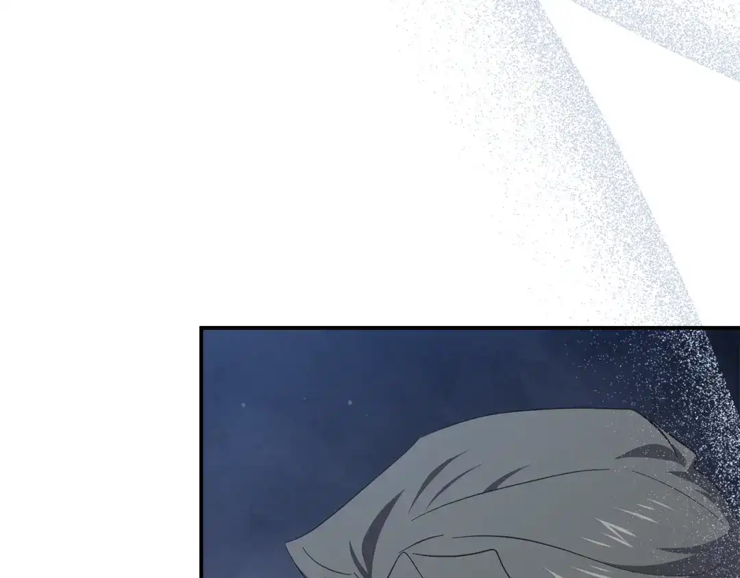 第215页