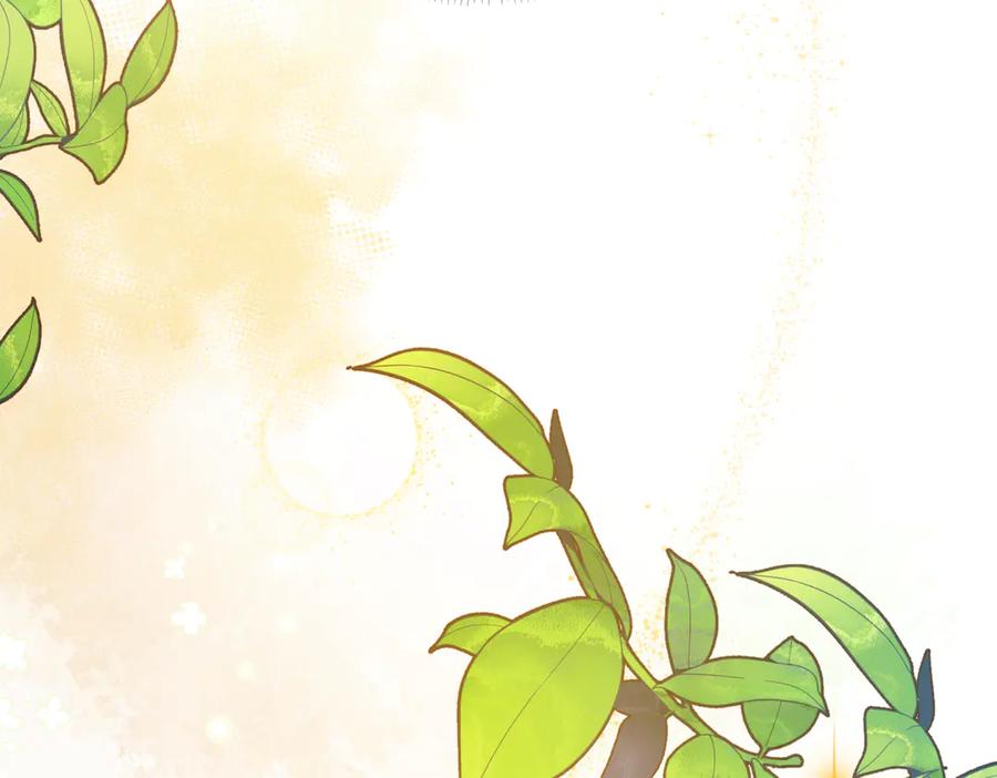 第236页