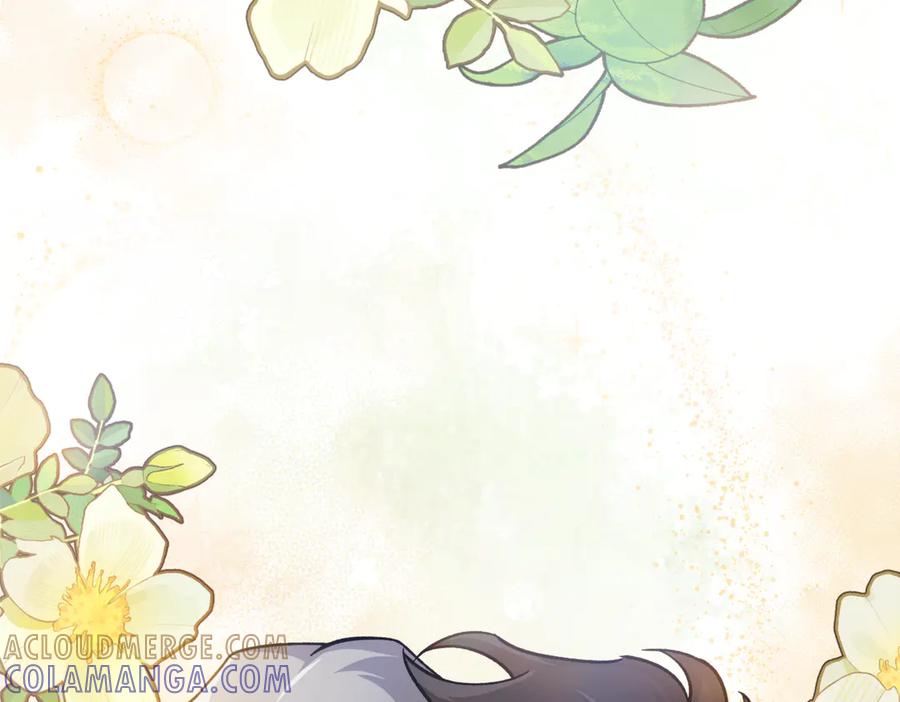 第241页