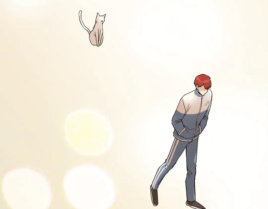 第224页