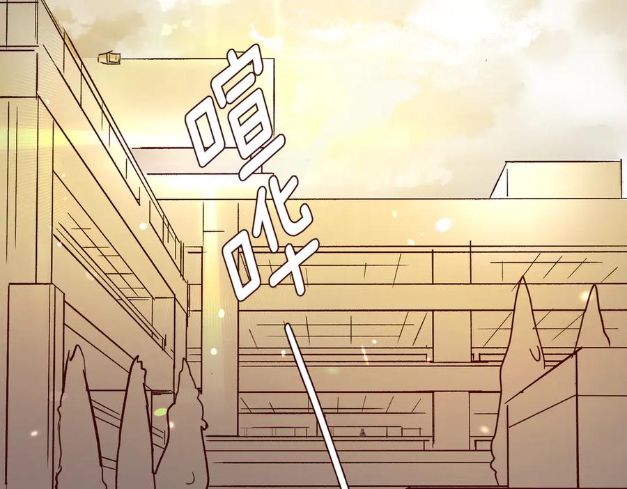 第239页