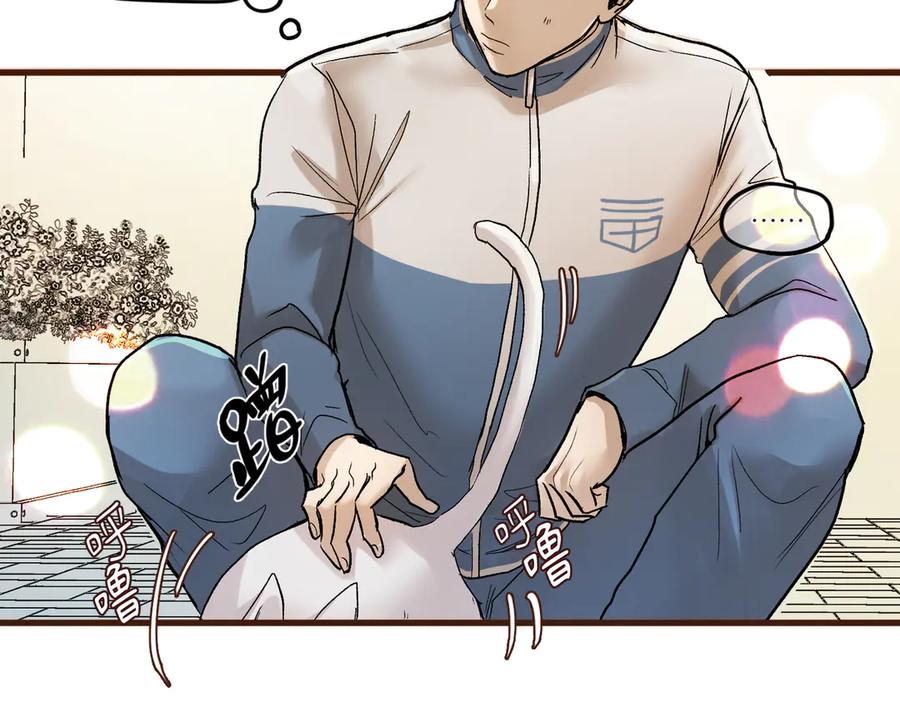 第207页